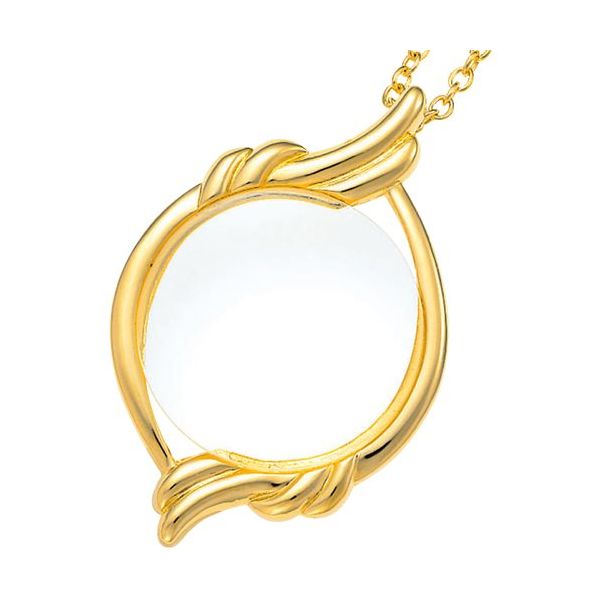 パール ブレストルーペ RGー2 07172 1個 688-4765（直送品）