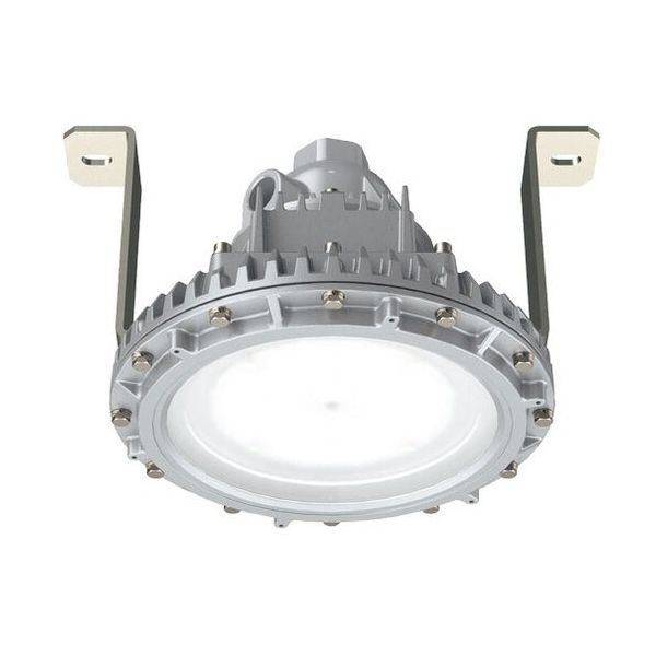 岩崎電気 岩崎 防爆形LED照明器具特殊直付形 EXIL9053ASA9-22 1台 689-4386（直送品）