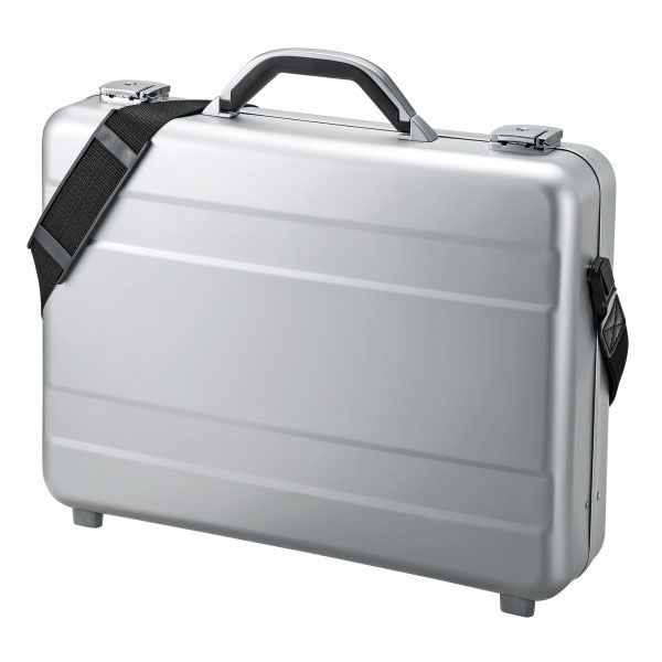 サンワサプライ  PCアルミケース BAG-AL4N2（直送品）