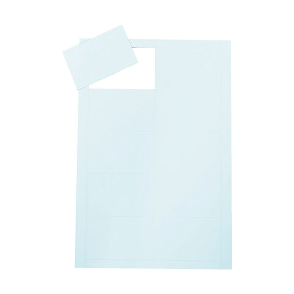 トラスコ中山 TRUSCO ペーパーマグネット 両面タイプ A4 5枚入り TPMAG-A45P 1冊(5枚) 207-6278（直送品）