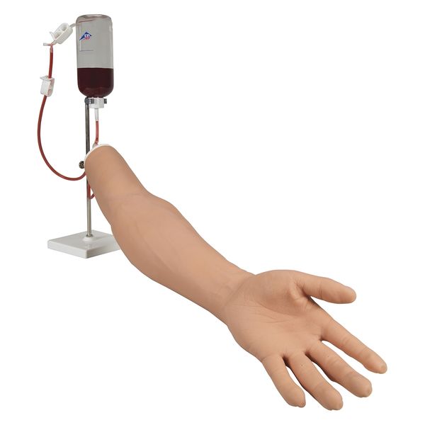 日本スリービー・サイエンティフィック 静脈注射トレーニング用モデル 25300500 P50/1 1台（直送品）