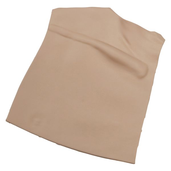 レジーナ 交換用皮膚 25248510 CVP-01 1個（直送品）