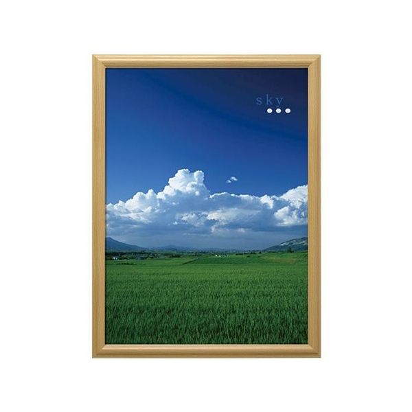 万丈 V ポスター額 A2判 ナチュラル VPF-A2NL 1個 63-5755-72（直送品）