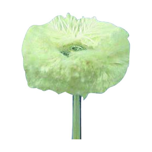 柳瀬 ヤナセ 小径バフ コットンモップバフ 23x15 CMB23 1セット(5個) 418-1912（直送品）