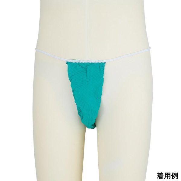 日昭産業 アンギオショーツ ゴムタイプ L 100枚入 51586 1箱(100枚) 9-1420-02（直送品）