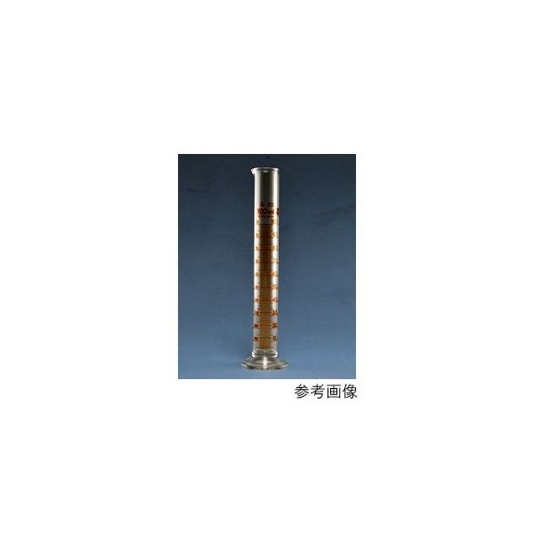 AGCテクノグラス メスシリンダー(ニュースタンダード) 300mL 3022CYL300S 1式 89-0060-71（直送品）