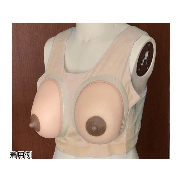 レジーナ 産褥乳房モデル装着型 1組2個入 BMS-12 1組(2個) 65-3976-88（直送品）