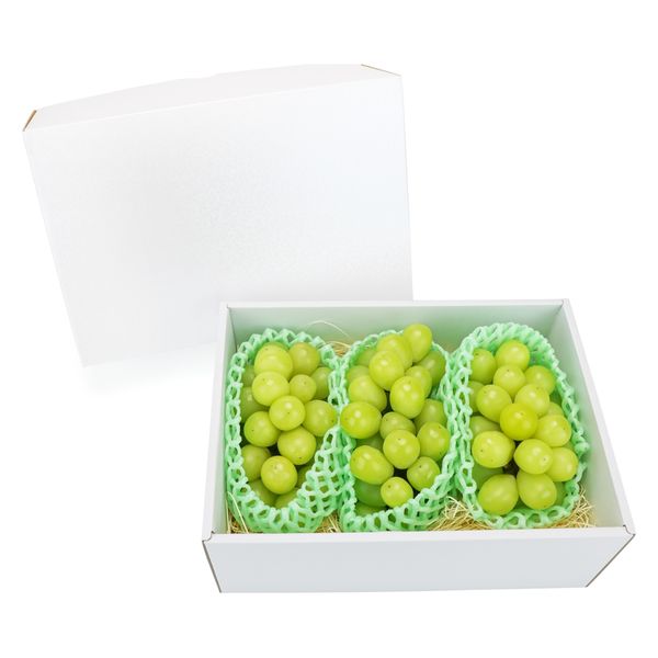 ベジテック 山梨県産 シャインマスカット 3房 vege219 1ケース（直送品