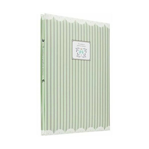 富士フイルム フジカラー ブックサイズアルバム Fー10B(BK) ストライプ(グリーン) F-10B(BK)104817 1冊（直送品）