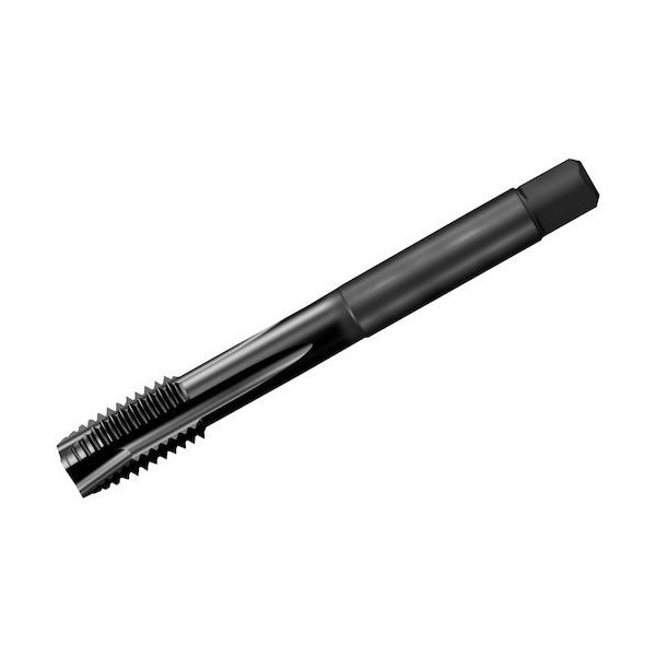 サンドビック SANDVIK コロタップ200 ポイントタップ(781) C145 T200-XM101AA-M12 1本 324-6929（直送品）