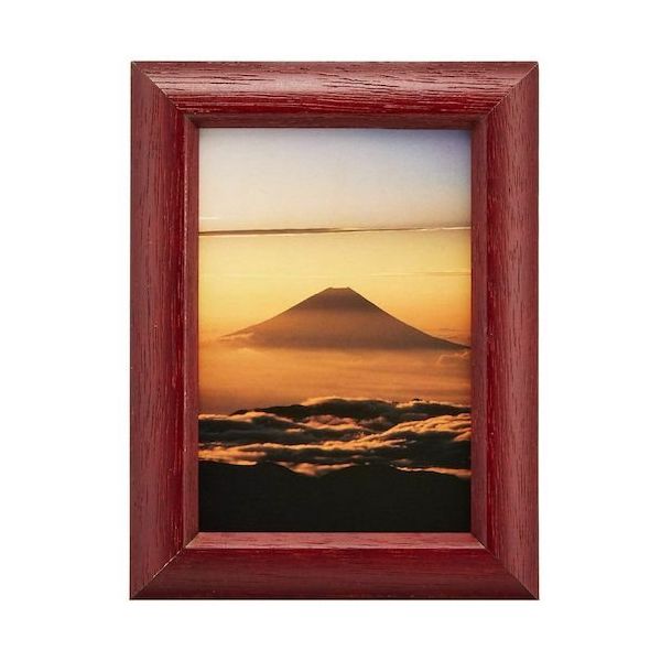 富士フイルム フジカラー デジフォトフレームD3 L ローズ D3LRO 1枚 540-4561（直送品）