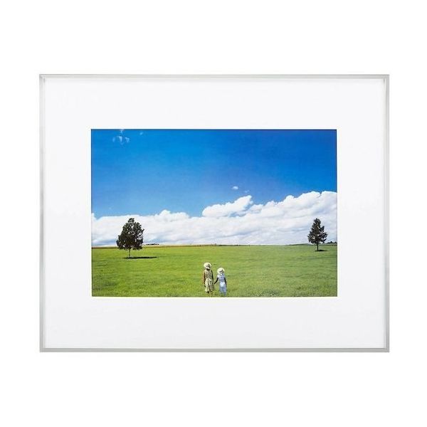 富士フイルム フジカラー ワイドマットフレーム A5010 ワイド4切 A5010W4 1枚 539-4935（直送品）