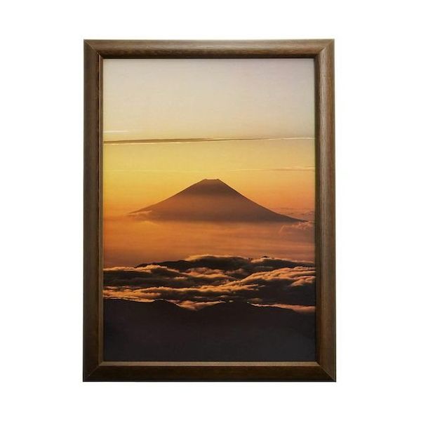 富士フイルム フジカラー デジフォトフレームD3 A4 ブラウン D3A4 BR 1枚 540-4556（直送品）