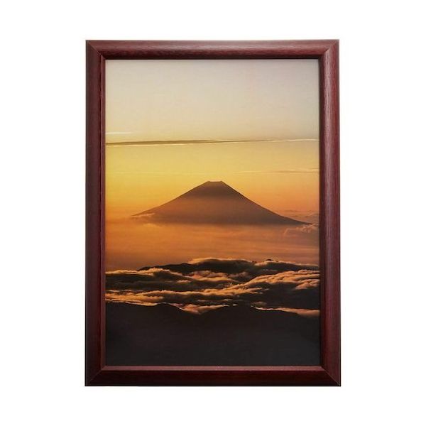 富士フイルム フジカラー デジフォトフレームD3 A4 ローズ D3A4 RO 1枚 540-4551（直送品）