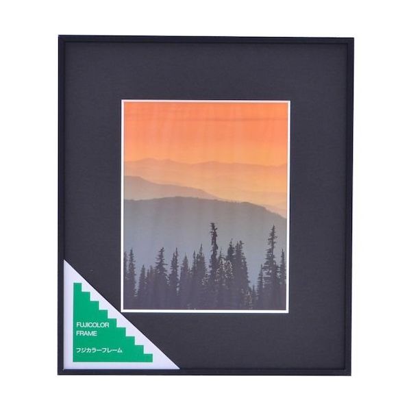 富士フイルム フジカラー アルミ額縁 A300 6切 6 1枚 563-0253（直送品）