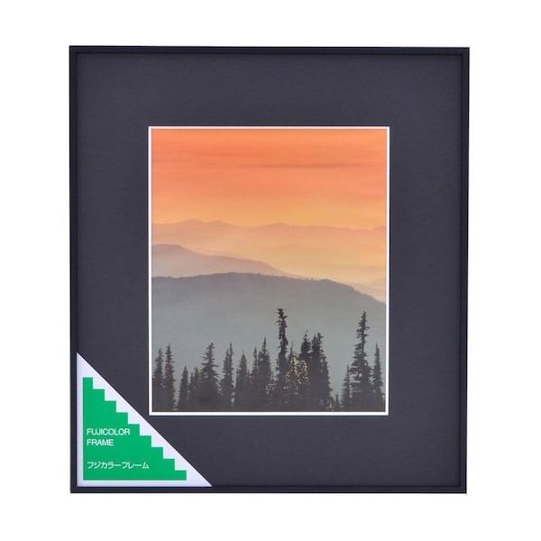 富士フイルム フジカラー アルミ額縁 A300 4切 4 1枚 563-0254（直送品）