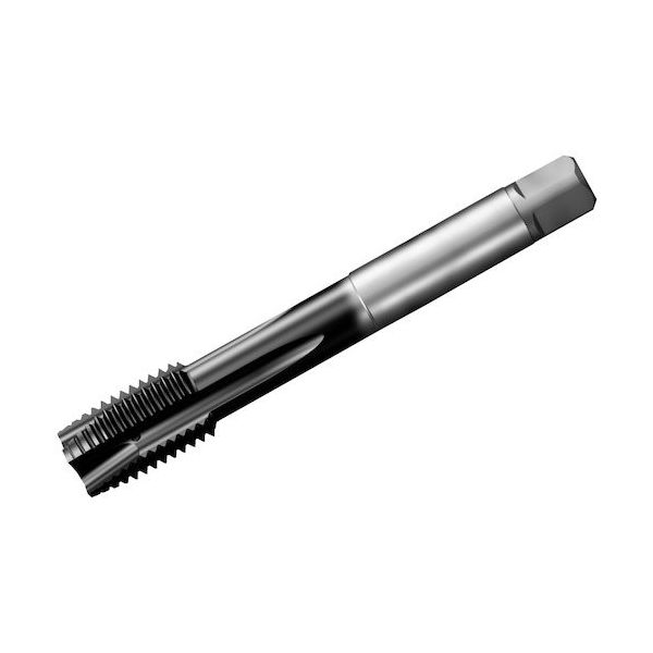 サンドビック SANDVIK コロタップ200 ポイントタップ(780) P1PM T200-PM109AE-1/2 1本 351-4194（直送品）