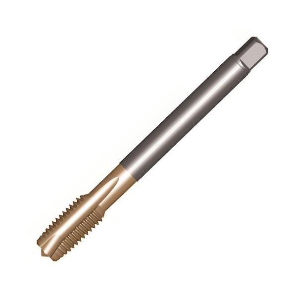 サンドビック SANDVIK コロタップ200 ポイントタップ(781) C110 T200-XM100DB-M10X100 1本（直送品）