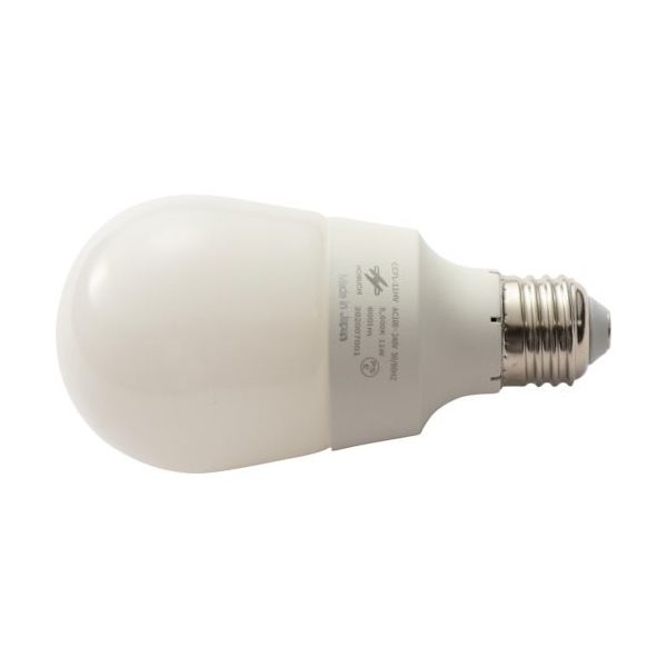 イーアクセス HORIUCHI CCFL抗菌ライト(昼白色) CCFL-11HV-WH 1個 382-6816（直送品）