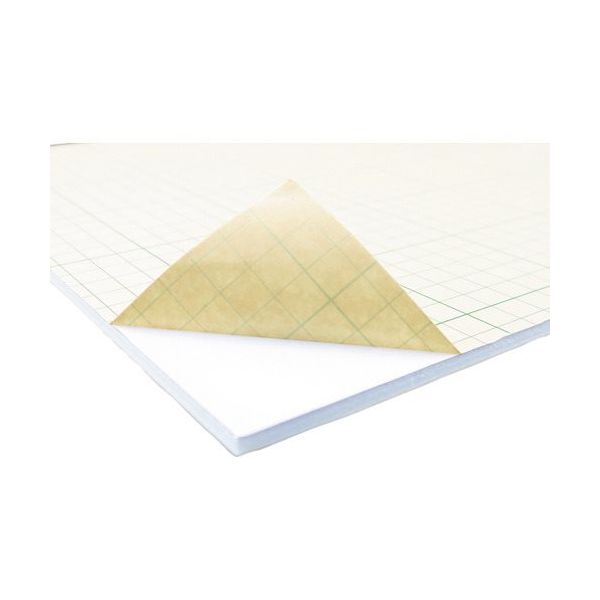 アクリサンデー 発泡スチレンボード HS-N100A2-5 1枚 195-5406（直送品）