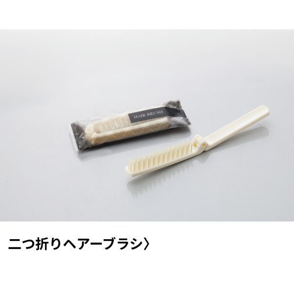 ダイト ホテルアメニティ 二つ折りヘアーブラシ エラートシリーズ 00475812 1ケース(250点×4))（直送品）