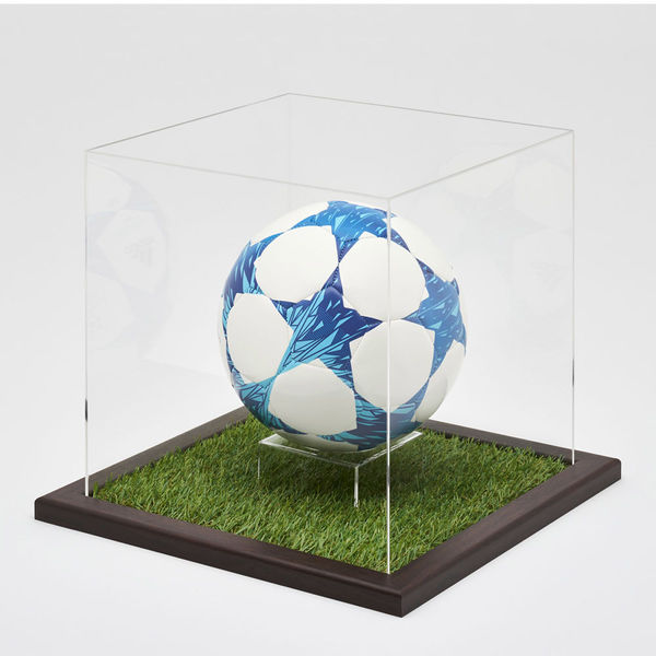 アルナ 人工芝サッカーボールケース(CFオーク) SB003 1個（直送
