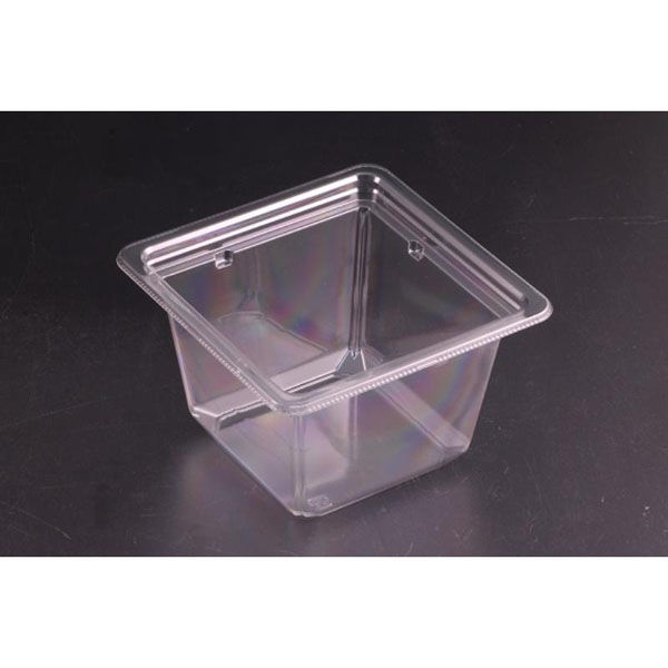 リスパック サラダ容器 バイオカップ キューブ 13-80B PABK204 1ケース(50点×12))（直送品）