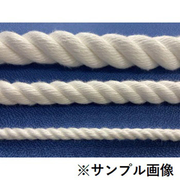 東京製綱繊維ロープ クレモナSロープ 10mm×20m 1本（直送品）