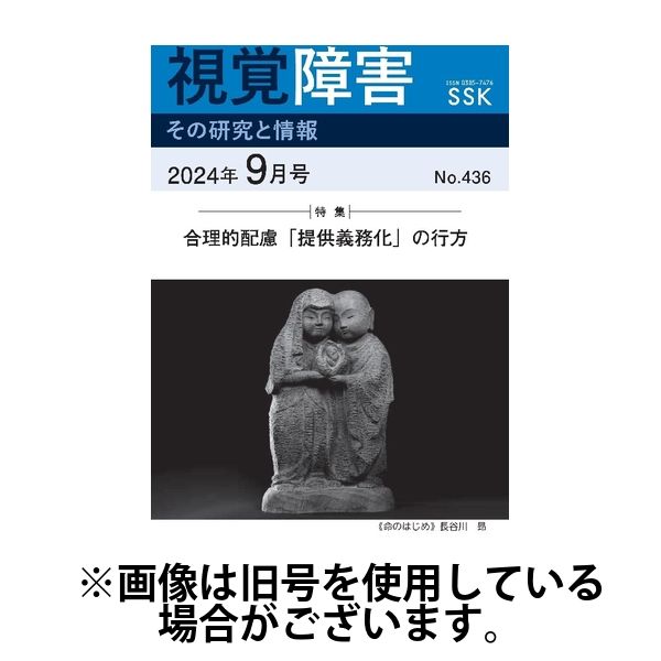 【CD-R版】視覚障害――その研究と情報 2025/01/01発売号から1年(12冊)(雑誌)（直送品）
