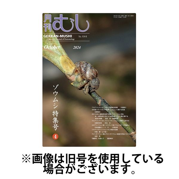 月刊むし2025/01/23発売号から1年(12冊)(雑誌)（直送品）