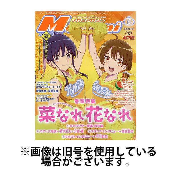 Megami Magazine(メガミマガジン） 2025/01/30発売号から1年(12