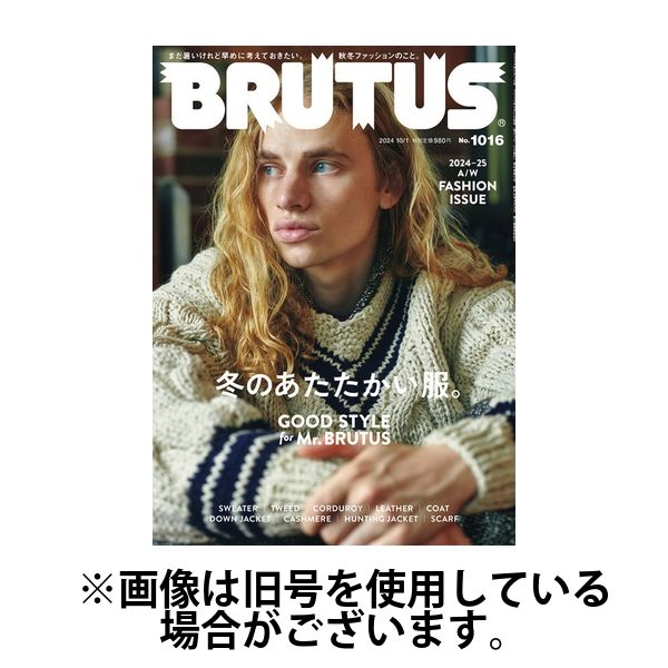 【希少】BRUTUS ブルータス 1985年 62 黄金のアフリカ 希少】BRUTUS ブルータス 1985年 62 黄金のアフリカ 黄金の