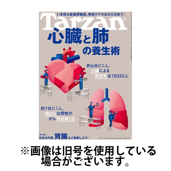 Tarzan（ターザン） 2025/01/23発売号から1年(23冊)(雑誌)（直送品）