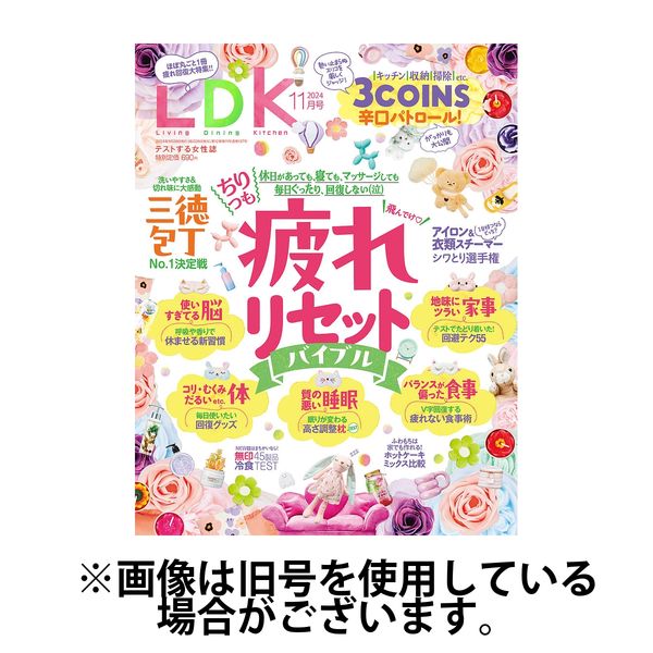 LDK（エル・ディー・ケー） 2025/01/28発売号から1年(12冊)(雑誌)（直送品）