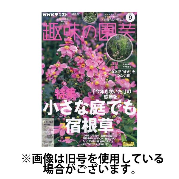 NHK 趣味の園芸 2025/01/21発売号から1年(12冊)(雑誌)（直送品）