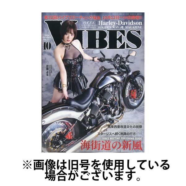 vibes 雑誌 販売