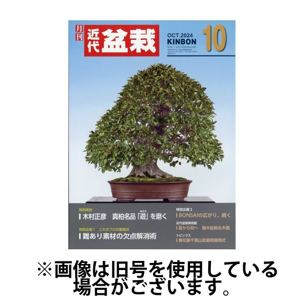 月刊 近代盆栽2025/01/04発売号から1年(12冊)(雑誌)（直送品）