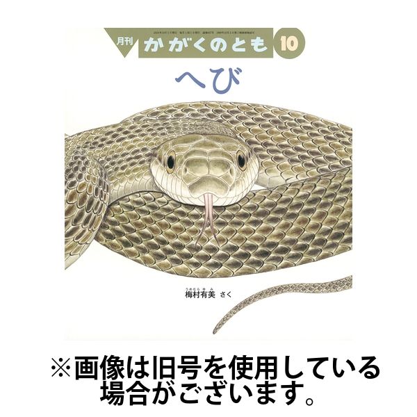 かがくのとも 2025/01/03発売号から1年(12冊)(雑誌)（直送品）