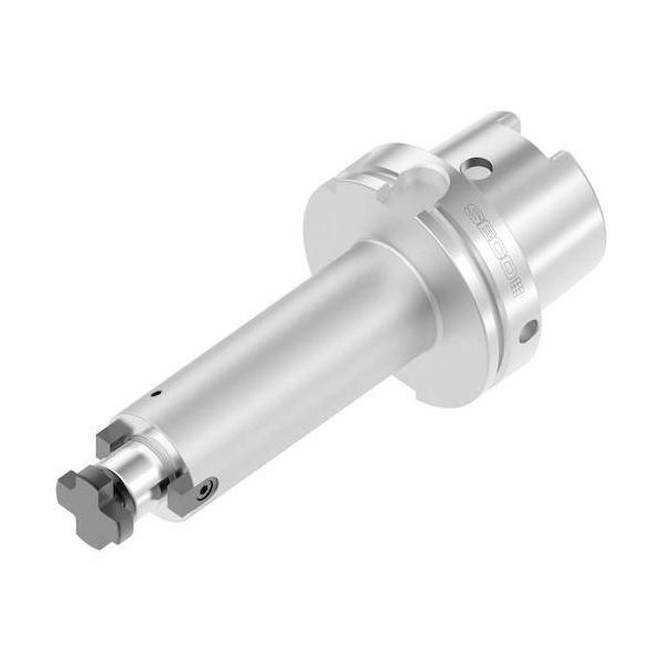 セコ・ツールズ・ジャパン セコ ツーリング HSK HSKA100-SM22-100-F3L1 1個 489-9034（直送品）