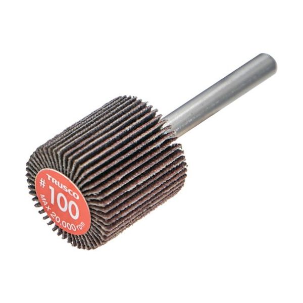 TRUSCO エコノミーフラップホイール 軸径6mm 外径25X幅25X軸長35 #100(5個入) EF2525-100 1箱(5個)（直送品）