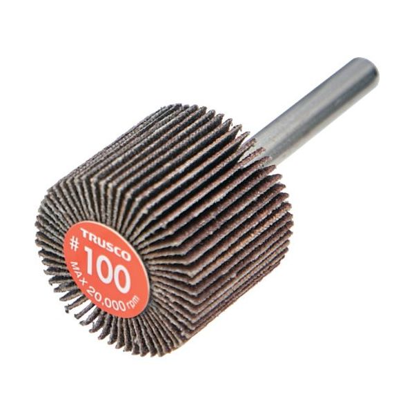 TRUSCO エコノミーフラップホイール 軸径6mm 外径30X幅25X軸長35 #100(5個入) EF3025-100 1箱(5個)（直送品）