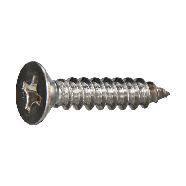 トラスコ中山 TRUSCO 皿頭タッピングねじ 1種A ステンレス M4×40 10本入 少量パック Y836-0440 1袋(10本)（直送品）