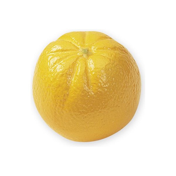 フローレックス Ｆー２１０　オレンジ　1個 005948093 1個×24個（直送品）