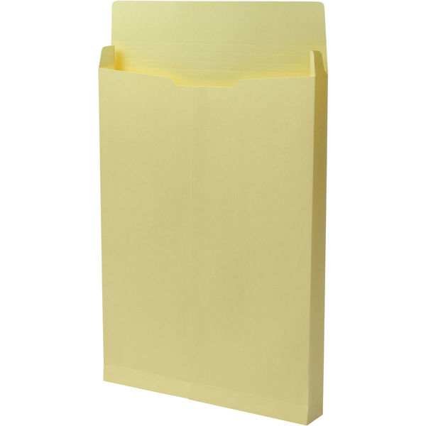 角２　カラークラフトクリーム保存袋　ハトメ紐なし ＢＫ２４６１Ｎ １箱（100枚） イムラ封筒（直送品）