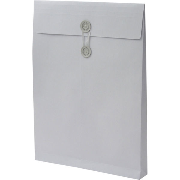 角２　カラークラフトスカイ保存袋　ハトメ紐付 ＢＫ２４６２ １箱（100枚） イムラ封筒（直送品）