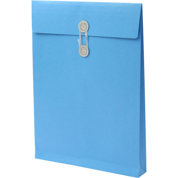 角２　カラークラフトブルー保存袋　ハトメ紐付 ＢＫ２４６７ １箱（100枚） イムラ封筒（直送品）