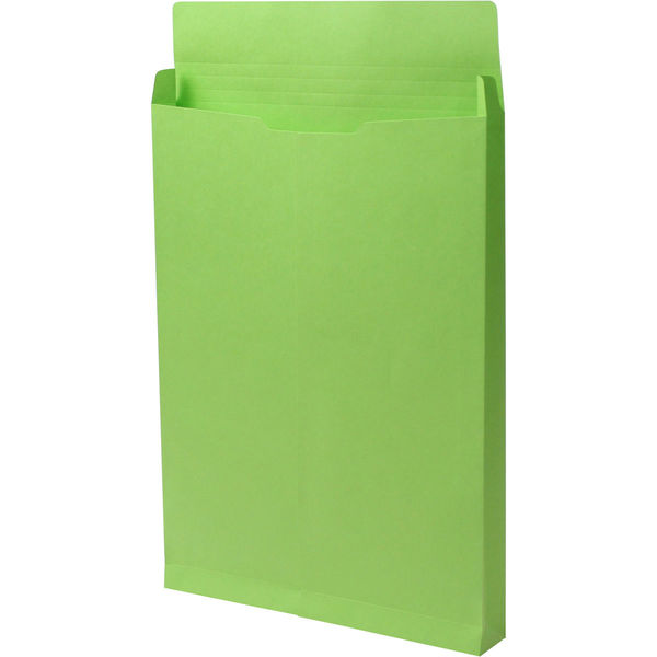 角２　カラークラフトグリーン保存袋　ハトメ紐なし ＢＫ２４６６Ｎ １箱（100枚） イムラ封筒（直送品）
