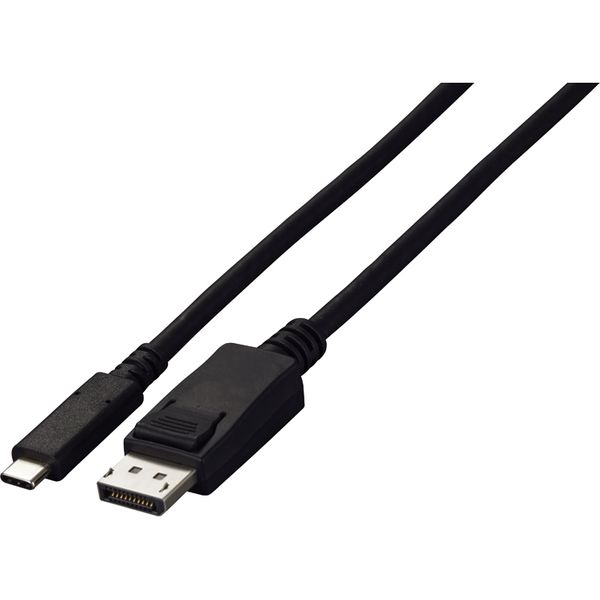 EIZO USB TypeーC ー DisplayPort 変換ケーブル (2m) ブラック CP200-BK 1本（直送品）