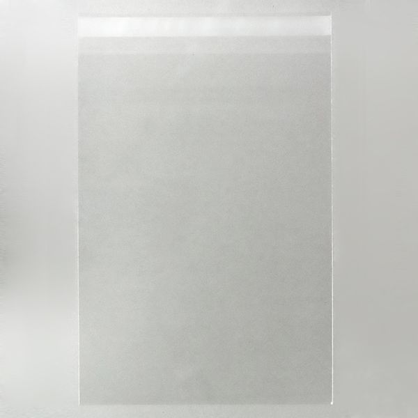 ムトウユニパック 角２フイルム封筒 全透明ＯＰＰ５０ 21841792 1箱（500枚入）