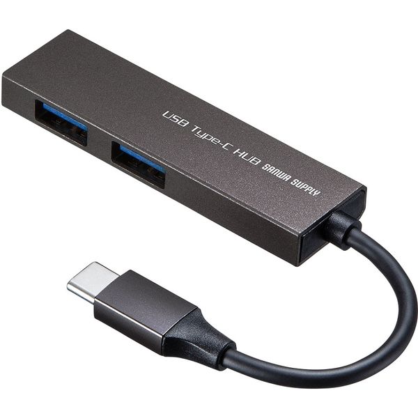 サンワサプライ USB Type-C 2ポートスリムハブ USB-3TCH24S 1個（直送